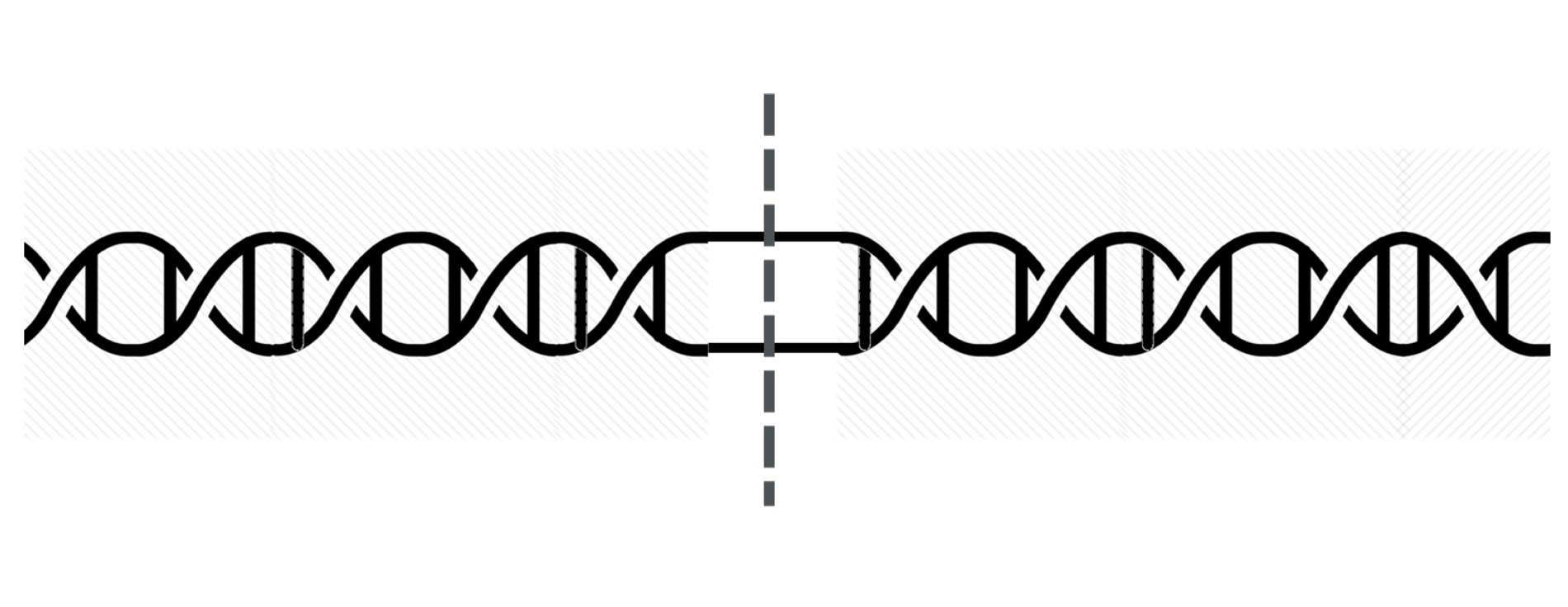 <p>Sequences in DNA that signal for replication to begin, Relavant proteins bind to the blank and open a blank.</p>