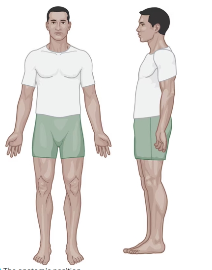 <p>what position is this?</p>