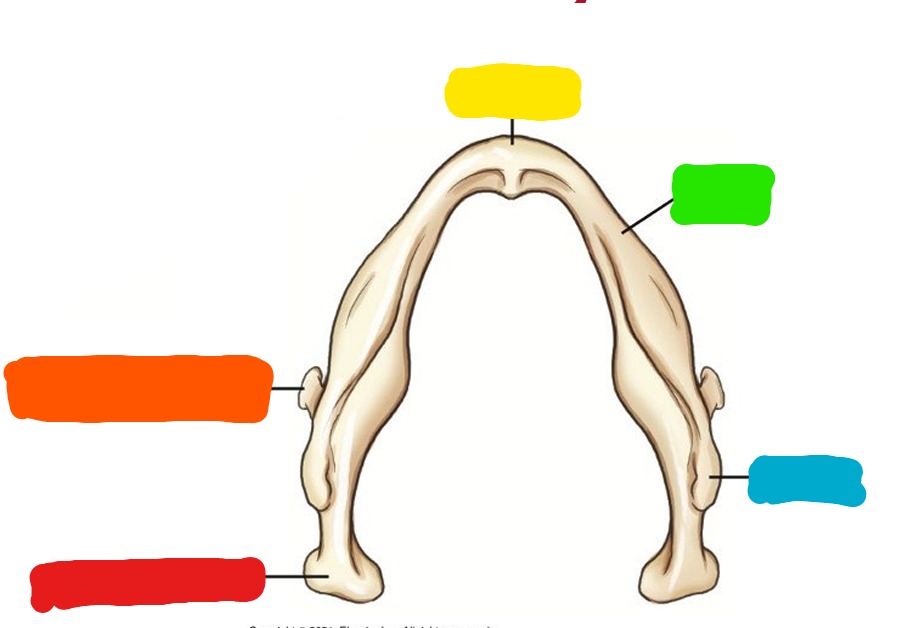 <p>What is Yellow?</p>