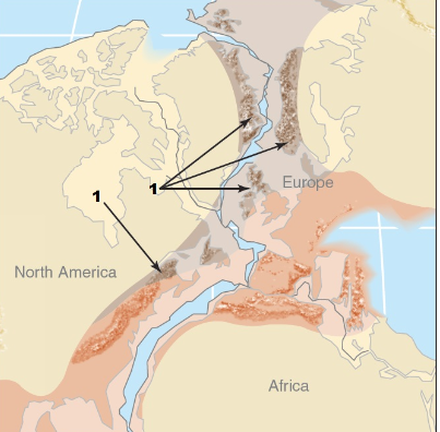 <p><span>The figure below describes </span><strong>one of the pieces of evidence</strong><span> used by Alfred Wegener to suggest that the southern continents (South America, Africa, India, Australia, Antarctica) were all joined together before taking their current positions. Which of the following options correctly represent this evidence?</span></p>