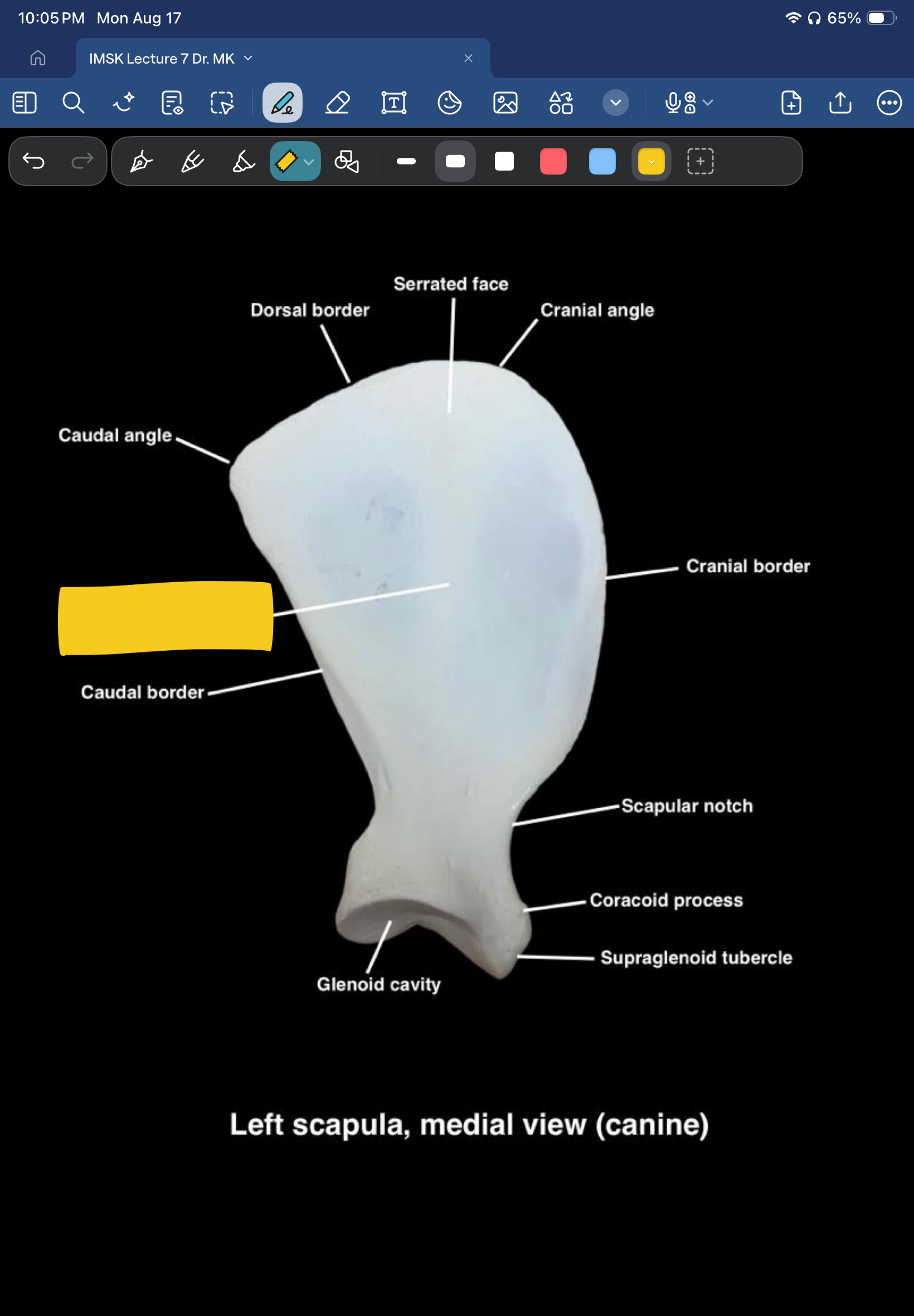 term image