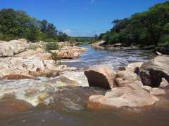 <p>Diverse ecosystems in Virginia, including forests, wetlands, coastal regions, freshwater, and mountains.</p>