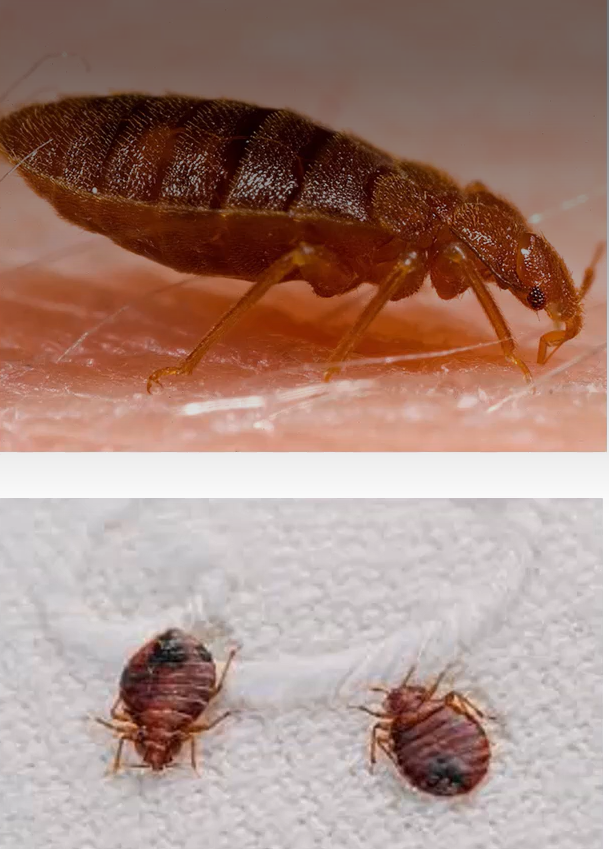 <p>What is this?</p>