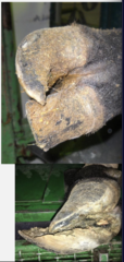 <p>What is this?</p>