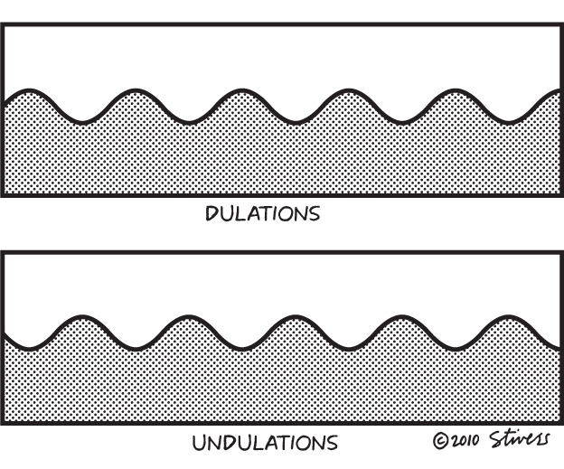 <p>Undulations</p>