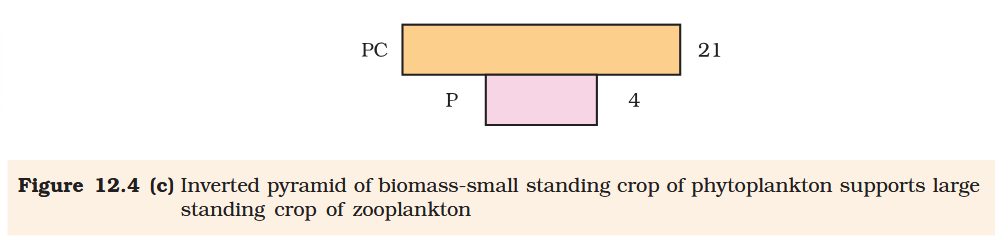 <p>What does P stand for?</p>