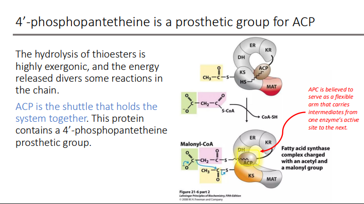 <p>one enzyme’s active site to the next</p>