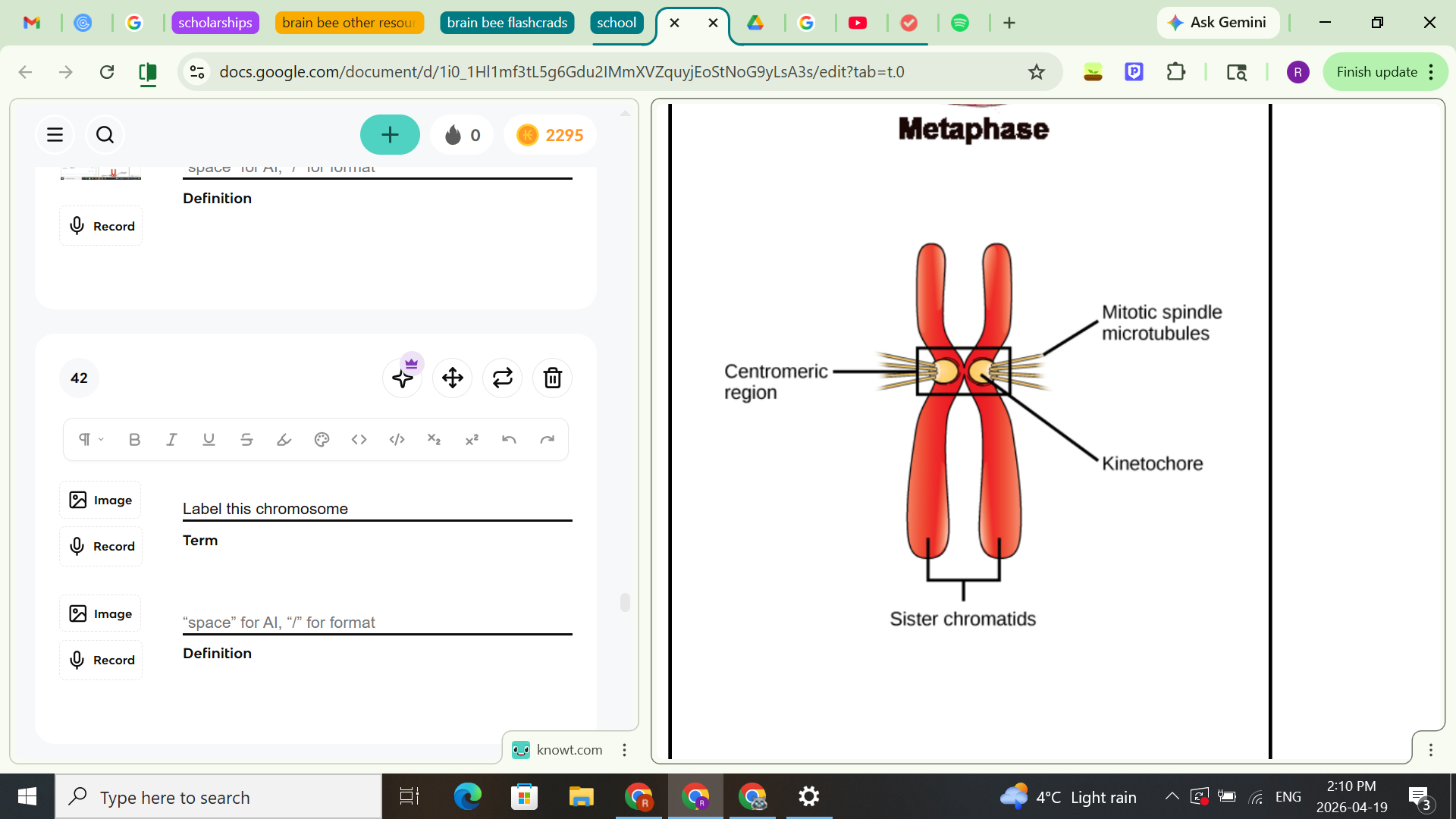 knowt flashcard image