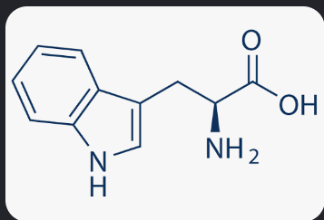 <p>What is this amino acid? </p>
