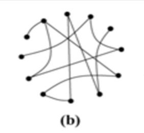 <p>What type of ecosystem network is this?</p>