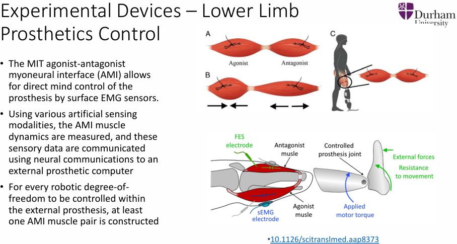 <ul><li><p>The MIT agonist-antagonist myoneural interface (AMI) allows for direct mind control of the prosthesis by surface EMG sensors.</p></li><li><p>Using various artificial sensing modalities, the AMI muscle dynamics are measured, and these sensory data are communicated using neural communications to an external prosthetic computer</p></li><li><p>For every robotic degree-of freedom to be controlled within the external prosthesis, at least one AMI muscle pair is constructed</p></li><li><p>The use of muscles through AMI will reduce the atrophy effect of the muscles possible leading to further socket fit issues. </p></li><li><p>The communication is one way, but feedback from positional change simulates two way communication. </p></li><li><p>This is due to native contractile mechanoreceptors within the natural tendon</p></li></ul><p></p>