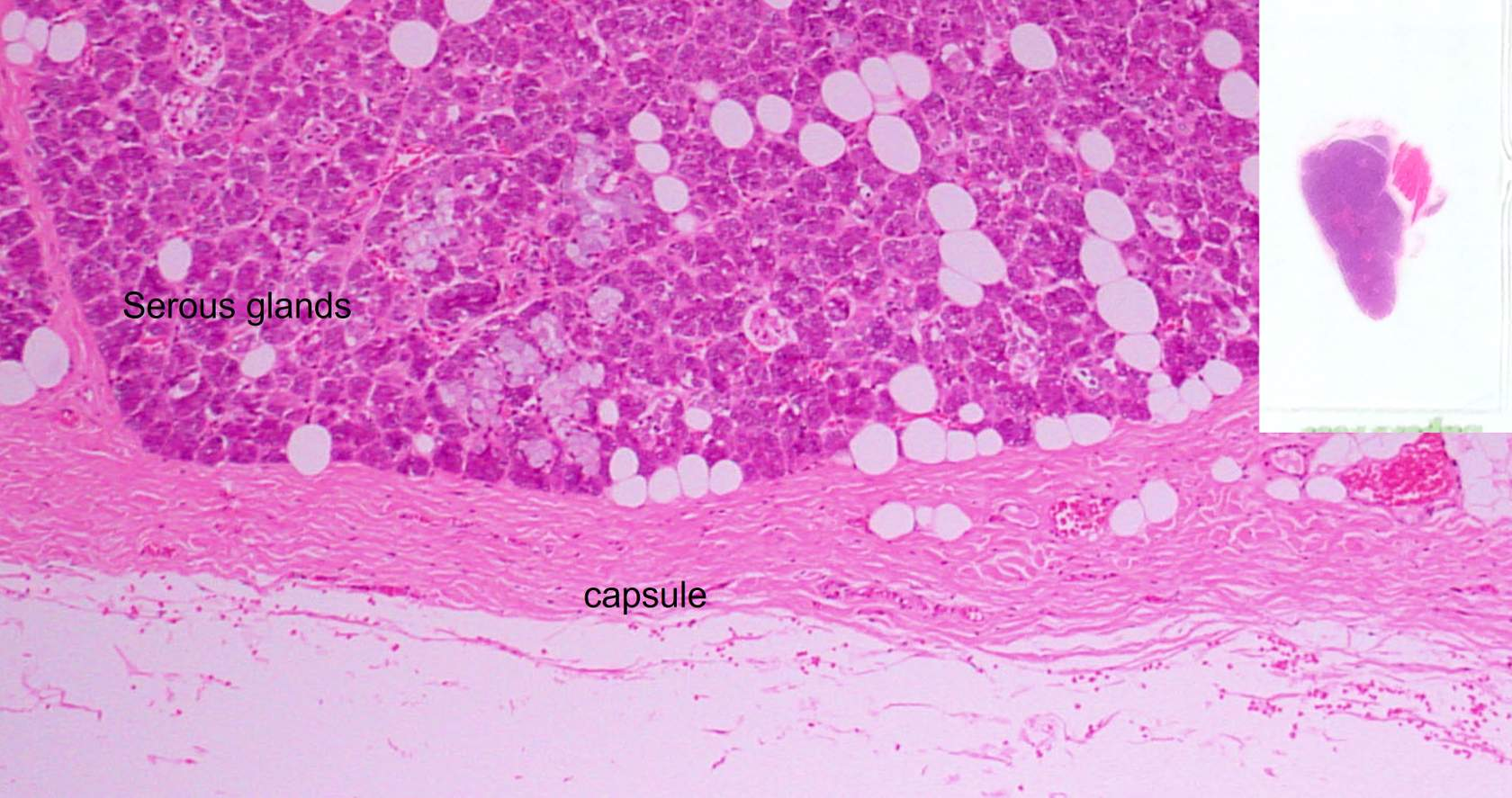 <p>What is this and how do we know?</p>