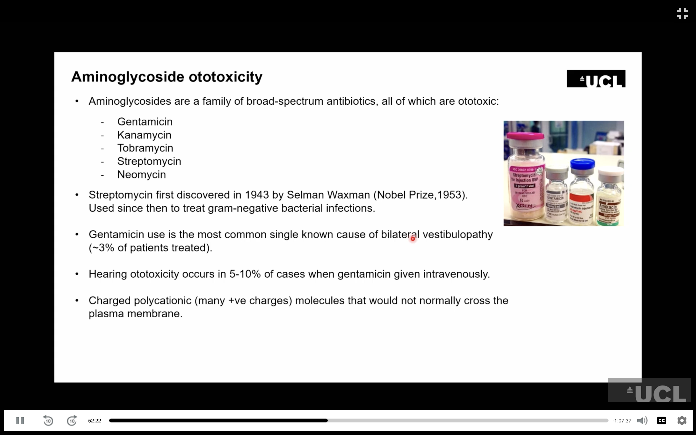 <ul><li><p>Drugs mainly reach the cochlea through the <strong>blood/vasculature</strong>, particularly via the <strong>stria vascularis</strong>, then enter the inner-ear fluid and hair cells.</p></li><li><p><strong>Aminoglycosides</strong> are positively charged and can enter hair cells mainly through <strong>mechanotransduction channels</strong>, which are partly open even at rest.</p></li><li><p>Increased sound can increase drug entry through these channels; <strong>other channels and endocytosis</strong> may also contribute.</p></li><li><p>Aminoglycosides can damage <strong>mitochondria/ribosomal machinery</strong>, causing:</p><ul><li><p><strong>Reactive oxygen species (ROS)</strong></p></li><li><p><strong>Cytochrome-c release</strong></p></li><li><p>Activation of <strong>apoptosis/programmed cell death</strong></p></li></ul></li><li><p><strong>Cisplatin</strong> cross-links DNA to kill cancer cells but is also taken up by hair cells, particularly <strong>outer hair cells</strong>, causing <strong>permanent, often high-frequency hearing loss</strong>.</p></li><li><p>Cisplatin entry may involve <strong>mechanotransduction channels, diffusion or other pathways</strong>.</p></li></ul><p></p>