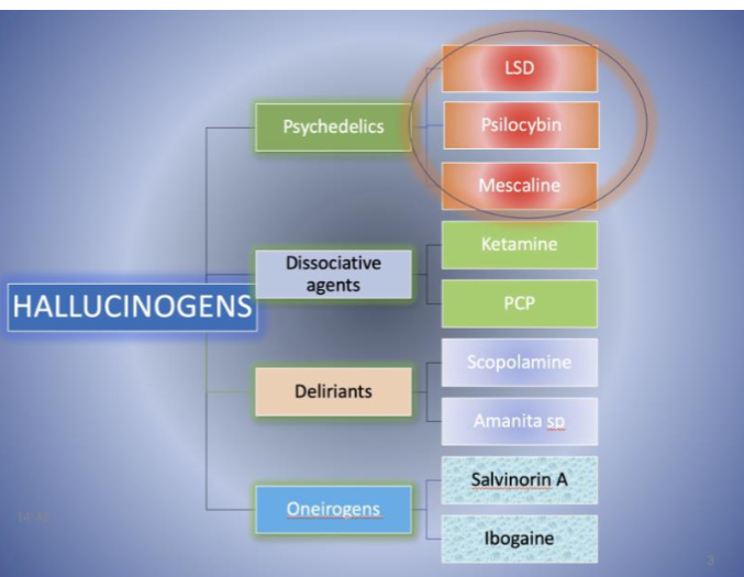 <ol><li><p>classical psychedelics (serotonin systems)</p></li><li><p>dissociative agents</p></li><li><p>deliriants</p></li><li><p>oneirogens</p></li></ol><p></p>