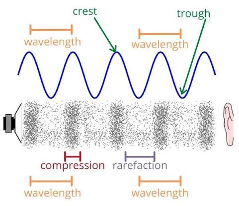<p>Compression is the part of a Longitudinal wave where the particles are more closely packed</p>