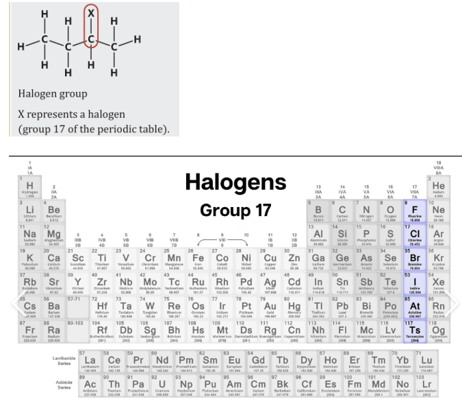 <p><span style="background-color: inherit; line-height: 20.7px; color: windowtext;"><strong>Haloalkane</strong> organic compound that has a halogen functional group (element in group 17 of the periodic table which include chlorine (Cl), bromine (Br), fluorine (F), and iodine (I))</span><span style="line-height: 20.7px; color: windowtext;">&nbsp;</span></p><ul><li><p class="Paragraph SCXO24787182 BCX0" style="text-align: left;"><span style="background-color: inherit; line-height: 20.7px; color: windowtext;">The halogen atom replaces one or more H atoms attached to an alkane’s carbon chain</span><span style="line-height: 20.7px; color: windowtext;">&nbsp;</span></p></li><li><p class="Paragraph SCXO24787182 BCX0" style="text-align: left;"><span style="background-color: inherit; line-height: 20.7px; color: windowtext;">X - often used as a general representation of a halogen</span><span style="line-height: 20.7px; color: windowtext;">&nbsp;</span></p></li></ul><p class="Paragraph SCXO24787182 BCX0" style="text-align: left;"></p><p class="Paragraph SCXO24787182 BCX0" style="text-align: left;"><span style="background-color: inherit; line-height: 20.7px; color: windowtext;">As halogens are <u>more electronegative</u> than carbon atoms, they have a greater tendency to attract the shared pair of electrons to their own nucleus -->&nbsp; this results in a polar bond:</span><span style="line-height: 20.7px; color: windowtext;">&nbsp;</span></p><ul><li><p class="Paragraph SCXO207504228 BCX0" style="text-align: left;"><span style="background-color: inherit; line-height: 20.7px; color: windowtext;">the carbon atom has a partial positive charge</span><span style="line-height: 20.7px; color: windowtext;">&nbsp;</span></p></li><li><p class="Paragraph SCXO207504228 BCX0" style="text-align: left;"><span style="background-color: inherit; line-height: 20.7px; color: windowtext;">whilst the halogen atom has a partial negative charge</span><span style="line-height: 20.7px; color: windowtext;">&nbsp;</span></p></li></ul><p></p>