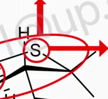 <p>If this will be changed with an atom that has almost similar electronic properties or if changed to Carbon</p>