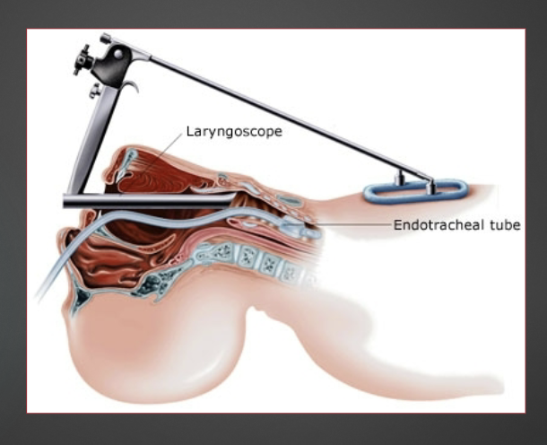 <p>what does this show </p>