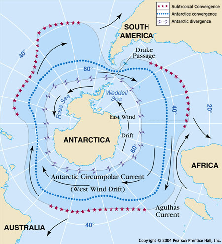 <p>What is the significance of the Antarctic Circumpolar Current in isolating the sea life of the Antarctic from other oceans?</p>