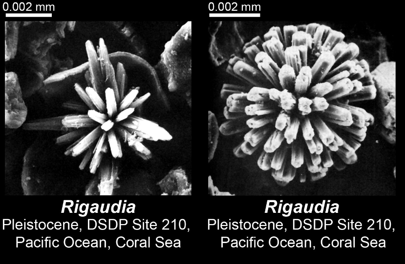 <p>What is this?</p>