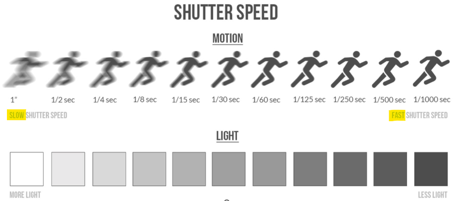 <p>The duration a camera sensor is exposed to light - how long the shutter is open measured in seconds or fractions or seconds</p><ul><li><p>Fast shutter speeds are better for photographing moving objects but will not let in as much light as slower shutter speeds</p></li><li><p>We don’t have to worry about moving objects but the shutter speed is important for exposure…</p><ul><li><p>Slow shutter = more light, Fast shutter = less light</p></li><li><p>Ex. Photographing a fluorescent print in a dark room = slower shutter speed to compensate for lack of light</p></li></ul></li></ul><p></p>