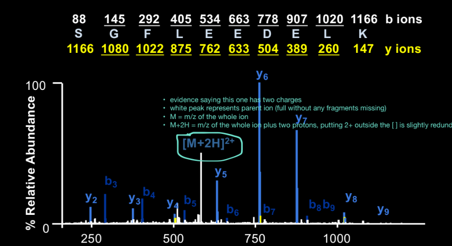 <ul><li><p>for z = 1, m/z ≈ actual mass + 1 proton</p></li><li><p>easy to calculate: subtract proton mass to get fragment mass</p></li><li><p>no need to divide by charge </p></li><li><p>the spectra is showing a full series of ions that are all singly charged</p></li></ul><p></p>