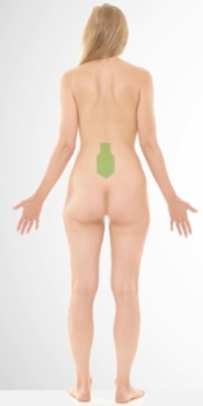 <p>Lumbar</p>