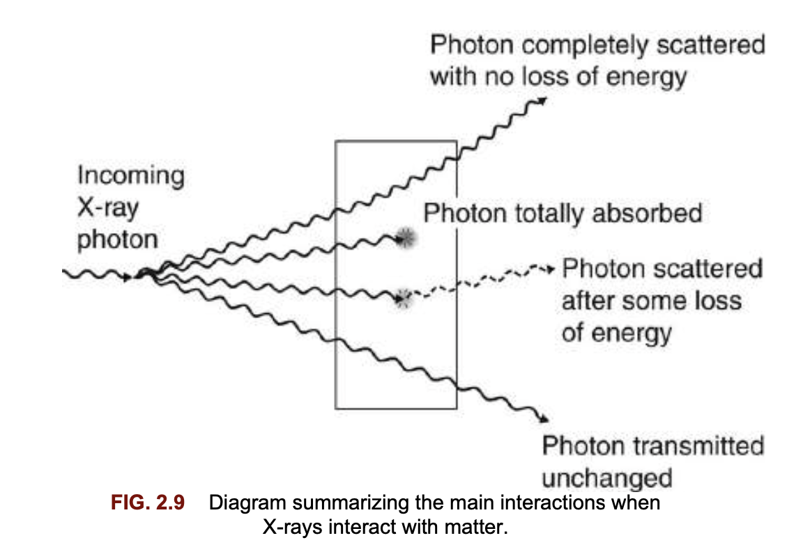 <ul><li><p>Unmodified (Rayleigh) scattering – pure scatter</p></li><li><p>Photoelectric effect – pure absorption</p></li><li><p>Compton effect – scatter + partial absorption</p></li><li><p>Pair production – pure absorption</p></li></ul><p></p>