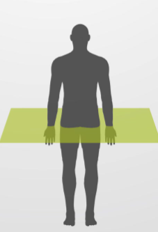<p>Transverse plane </p>