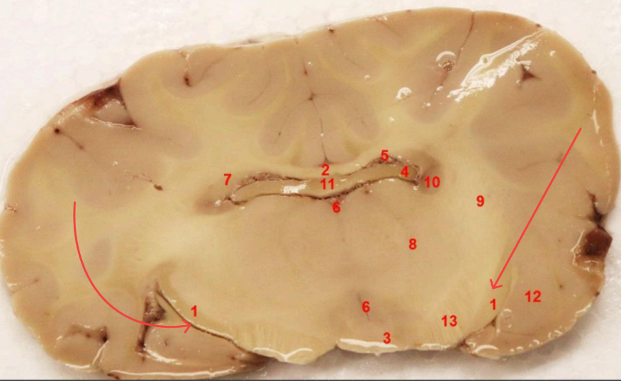 <p>what are these </p>