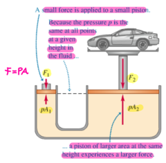 <p>A change in pressure applied to an enclosed fluid is transmitted undiminished to every point of the fluid and to the walls of the container.</p><p>Hydraulic press: a small force is applied to a small piston. Because the pressure (P) is the same at all points at a given height in the fluid, a piston of larger area at the same height experiences a larger force.</p><p> -> A small force F1 applied to the left end results in a large force F2 applied to the right end if A2 >>>>> A1.</p><p> * F2 = (A2/A1)F1</p>