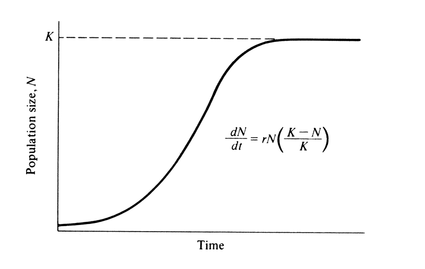 <p>Koks čia modelis?</p><p></p>