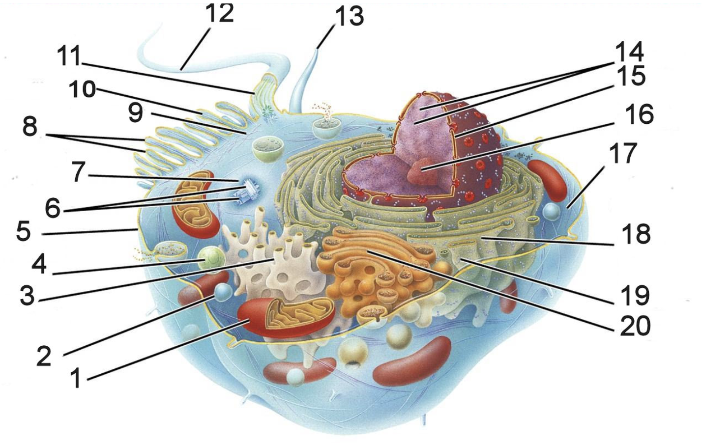 <p>4</p>