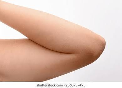 <p>elbow</p>