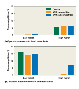 <p>Transplantation study</p>