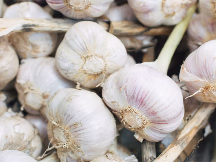 <p><strong>Common Name</strong>: Garlic, bawang</p><p><strong>Parts Used</strong>: Bulb</p><p><strong>DOH Use/s</strong>: Hypertension, cholesterol-lowering, toothaches</p><p><strong>Other Use/s</strong>: Fevers and respiratory disorders, anti-bacterial, anti-fungal, etc.</p><p><strong>Major Metabolites</strong>: <strong><u>Organosulfur compounds</u></strong>, flavonoids, saponins, fructans</p>