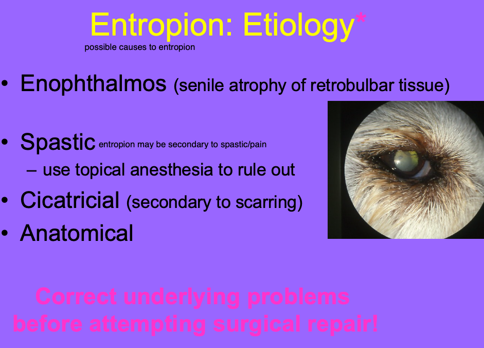 <p>w/ topical anesthetics.</p>