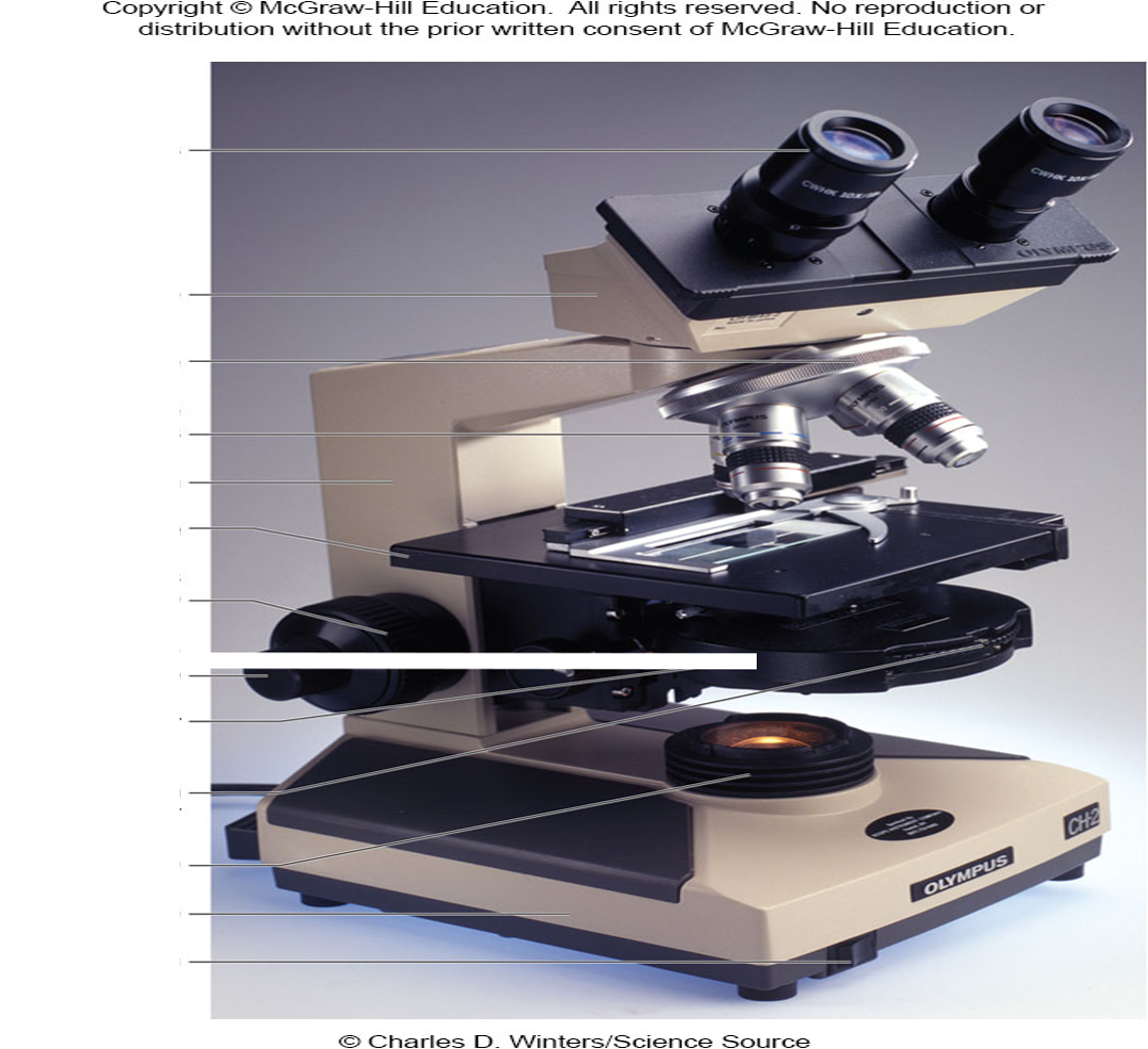 <p>What part of the microscope is the following?</p>