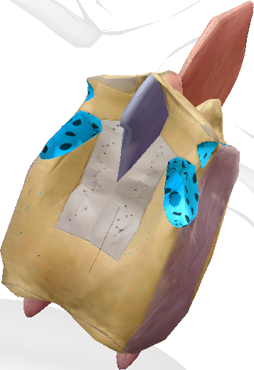 term image