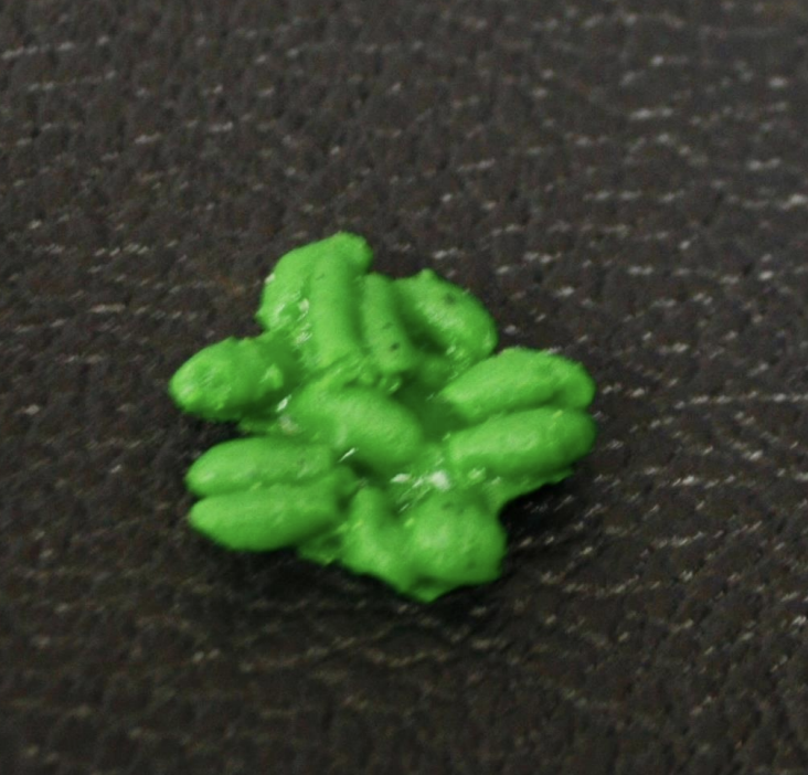 <p>Identify this scat</p>