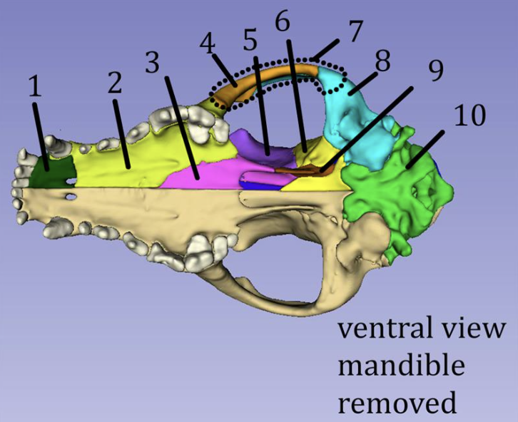 <p>1</p>
