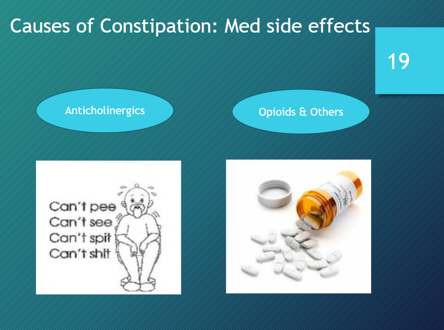 <ul><li><p>Anticholinergics </p></li><li><p>Opioids & Others </p></li></ul><p></p>