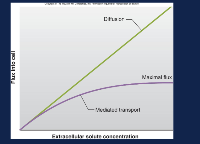 <p>How can you identify simple diffusion on the rates-of-diffusion graph?</p>