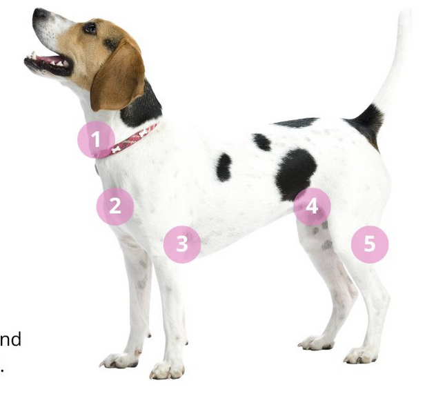<p>1? </p>