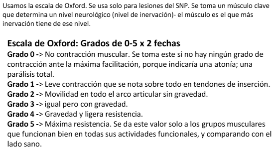 <p>Evaluación </p><ul><li><p>Pares craneales</p></li><li><p>Musculatura esquelética</p></li></ul><p> Escalas </p><ul><li><p><strong>Escala de Oxford (MRC)</strong> → fuerza muscular</p></li><li><p><strong>Escala ASIA</strong> → lesión medular</p></li></ul><p></p>