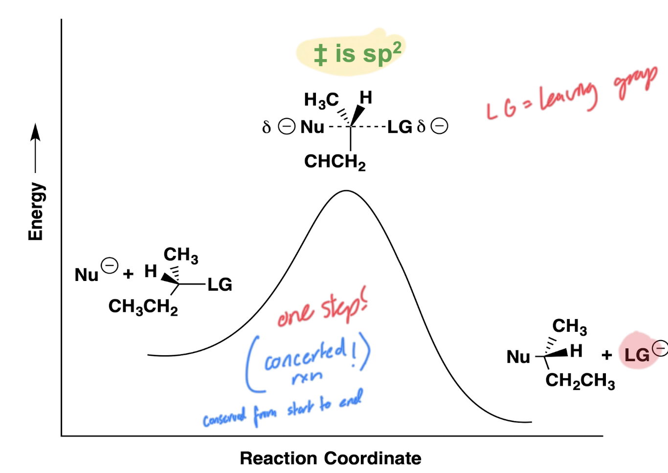 <p>One peak due to the concerted mechanism</p>