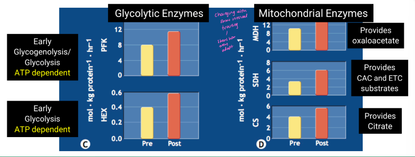 <p>7 weeks with 21 sprint sessions. Sessions progressed from</p><p>4 to 10 intervals of 30s sprints with 2-4min of recovery.</p><p>...Less than 5 minutes of high intensity effort per session</p>
