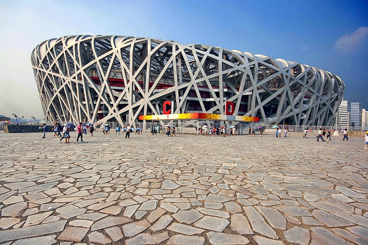 <p><em>“Bird’s Nest”</em></p>