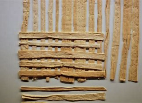 <p>3 Alternative materials for modern paper</p>