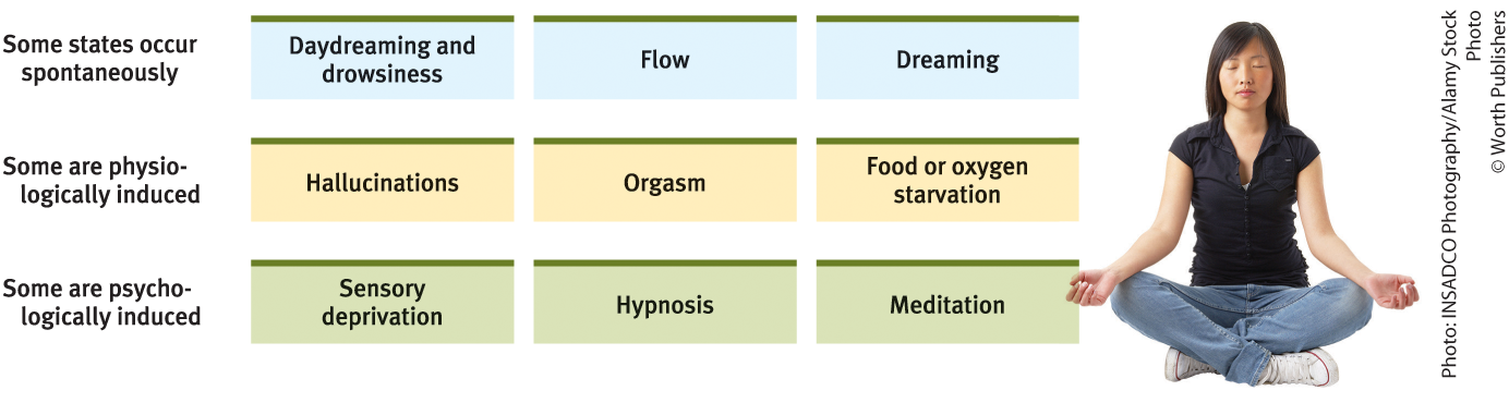 <p>General states of consciousness</p>